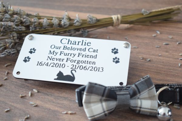 Personalised Memorial Engraved Acrylic Cat Plaques available in Silver or gold rectangle plaques with black engraving and rounded corners and four screw holes with a cat laying at the bottom and two paw prints either side of the text