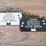 Personalised Memorial Engraved Acrylic Cat Plaques available in Silver or gold rectangle plaques with black engraving and rounded corners and four screw holes with a cat laying at the bottom and two paw prints either side of the text