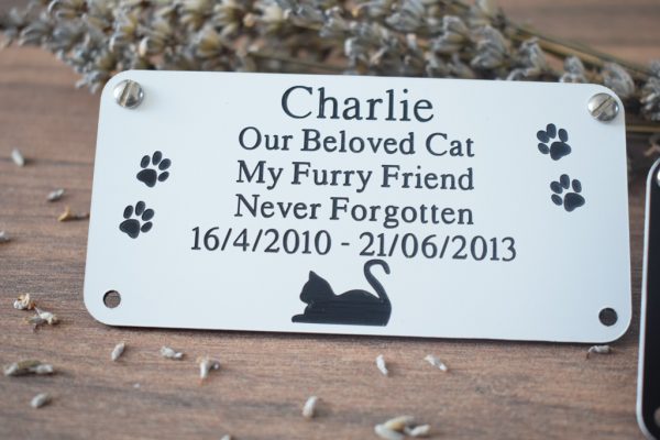 Personalised Memorial Engraved Acrylic Cat Plaques available in Silver or gold rectangle plaques with black engraving and rounded corners and four screw holes with a cat laying at the bottom and two paw prints either side of the text