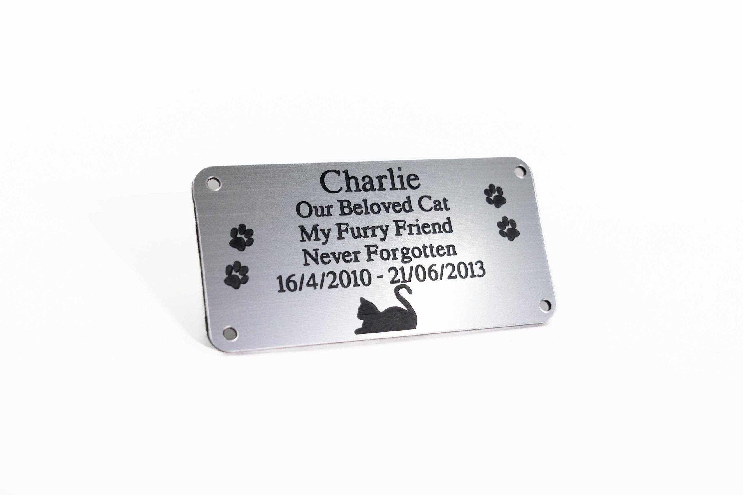 Cat Laying on Brushed silver/black plaque