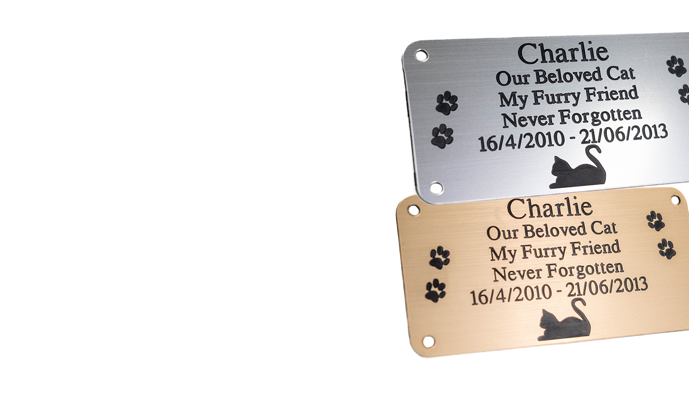 Brushed silver and gold rectangle plaque with black engraving and rounded corners and four screw holes with a cat laying at the bottom