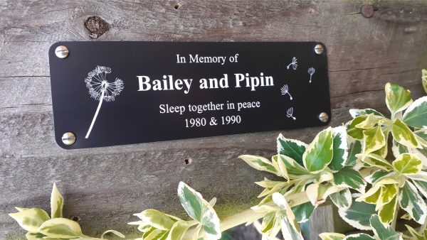 Personalised bench Plaques - 6" x 2" with decorative dandelion either side of the white engraved text, 4 screw holes in each corner.