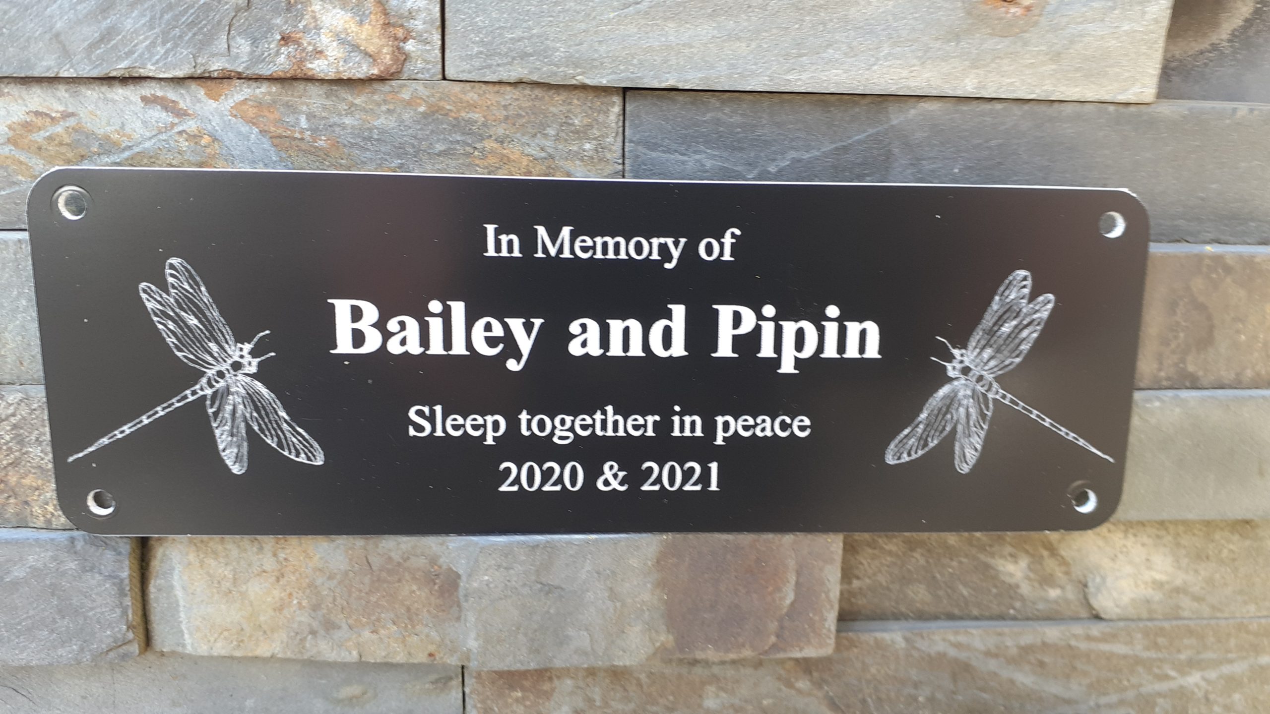Personalised bench Plaques - 6" x 2" with decorative dragonflies either side of the white engraved text, 4 screw holes in each corner.