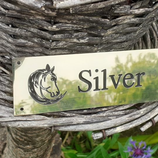 Brass Stable Name Plaques 6" x 2" with Screw Holes for Easy Mounting