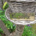 Close up of 6" x 2" solid brass stable name plaque - with Horse's Head Design on the left-hand side supplied with 4 screw holes