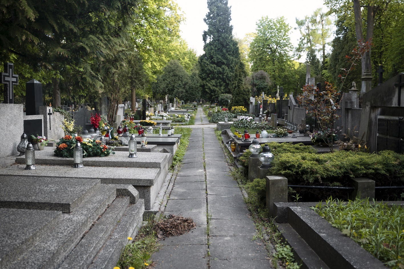 Cemetery with memorial plaques on graves.