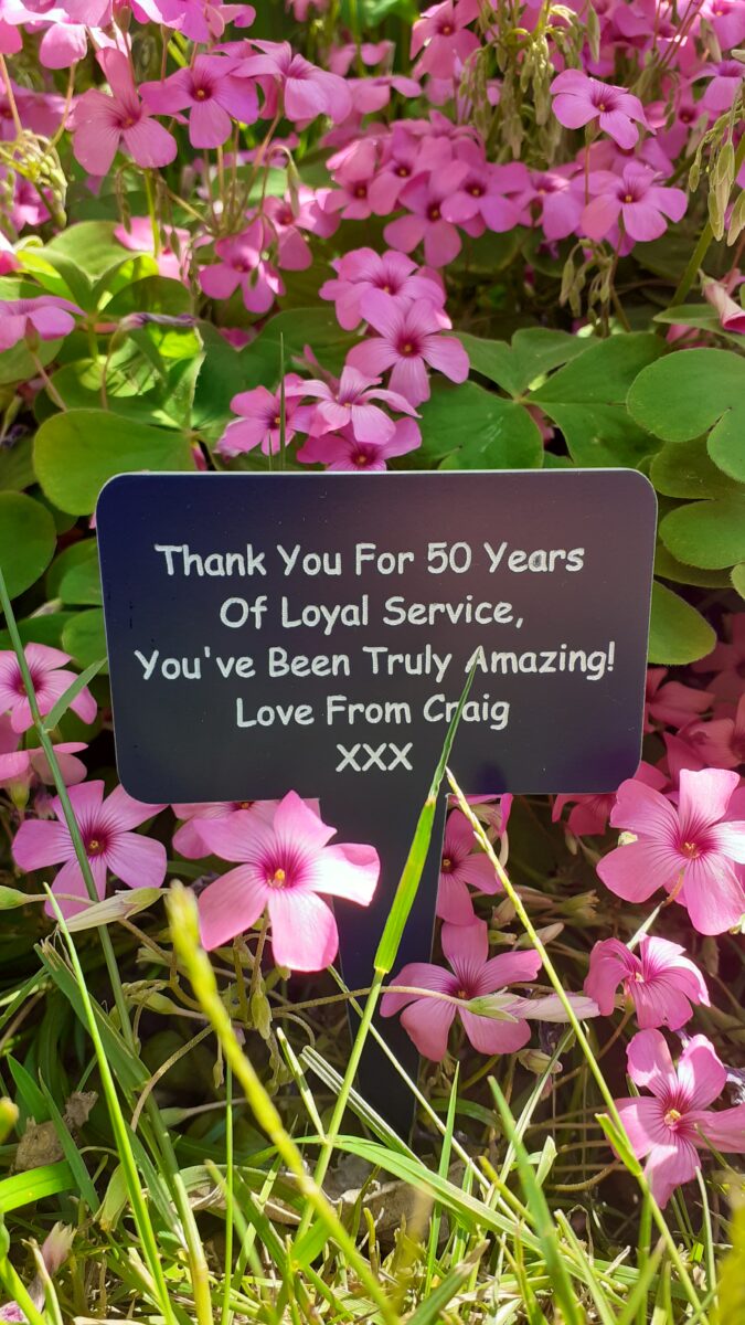 Custom Engraved Plant Markers: Personalise Your Garden with coloured Acrylic Markers