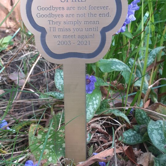 A paw-shaped acrylic plaque in a brushed gold finish with a black text inscription. A thick paw print border frames the text, which is centred on the plaque. The inscription honours a pet named Spike, with the name in larger text, and includes the heartfelt verse: "goodbyes are not forever, goodbyes are not the end, they simply mean I'll miss you until we meet again" and the years "2003–2021". mounted to the front of a perspex paw shape