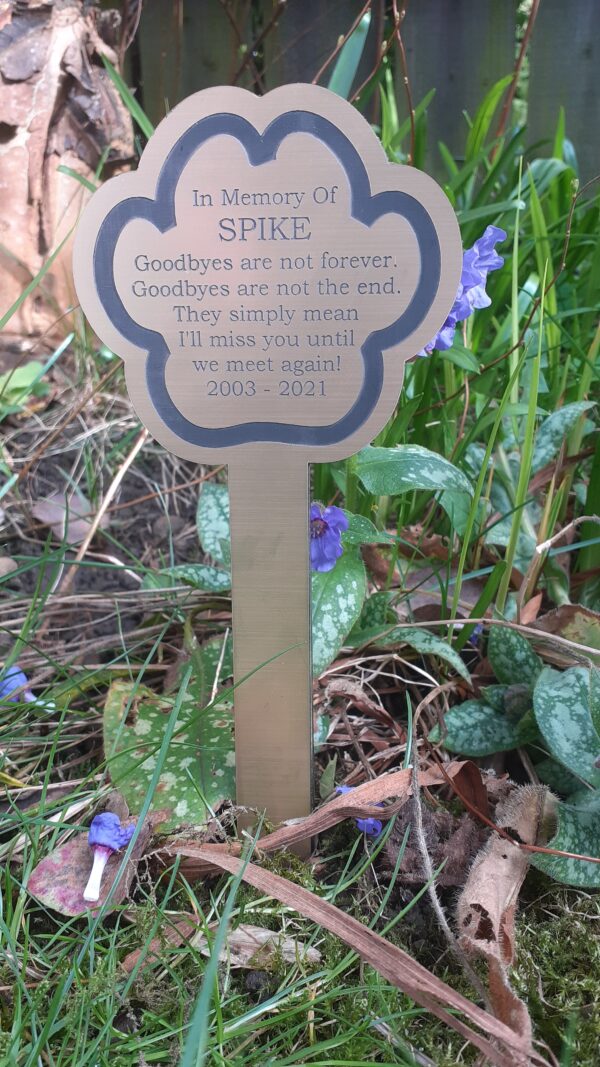 A paw-shaped acrylic plaque in a brushed gold finish with a black text inscription. A thick paw print border frames the text, which is centred on the plaque. The inscription honours a pet named Spike, with the name in larger text, and includes the heartfelt verse: "goodbyes are not forever, goodbyes are not the end, they simply mean I'll miss you until we meet again" and the years "2003–2021". mounted to the front of a perspex paw shape