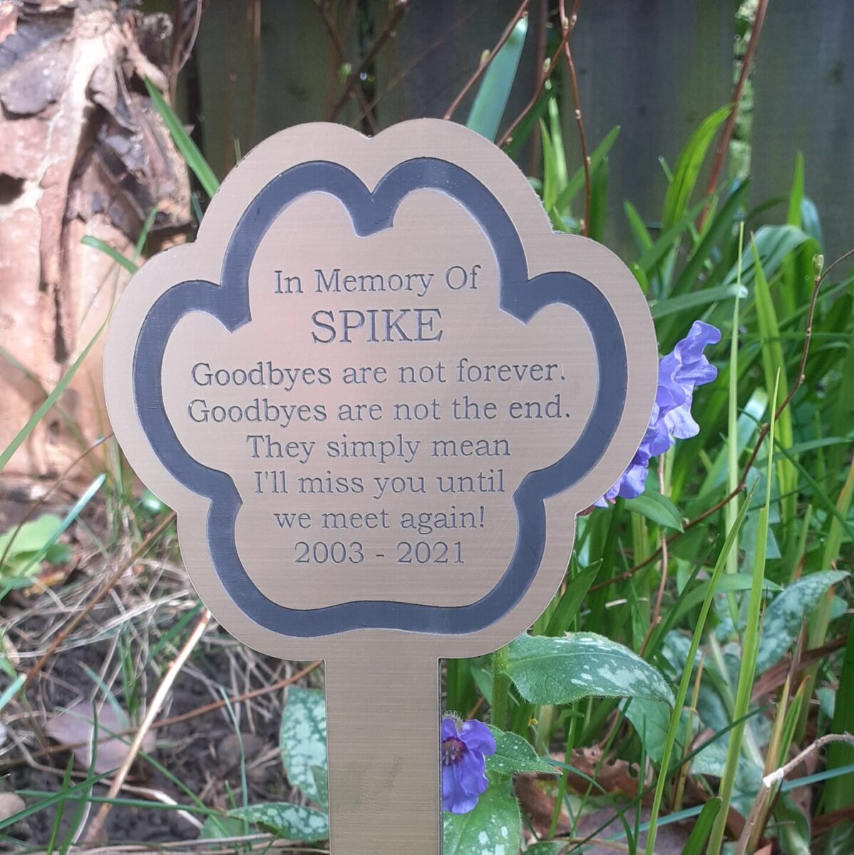 A paw-shaped acrylic plaque in a brushed gold finish with a black text inscription. A thick paw print border frames the text, which is centred on the plaque. The inscription honours a pet named Spike, with the name in larger text, and includes the heartfelt verse: "goodbyes are not forever, goodbyes are not the end, they simply mean I'll miss you until we meet again" and the years "2003–2021". mounted to the front of a perspex paw shape