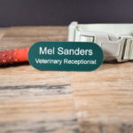Teal Green with white text in the shape of a pill name badges, line saying Mel Sanders and underneath that is Veterinary Receptionist. The badge is on a wooden background