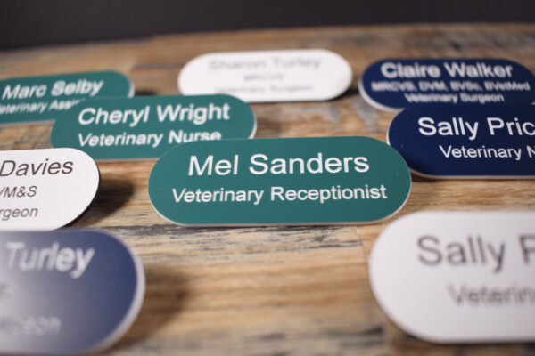Various colour name badges with white text in the shape of a pill. The badge is on a wooden background, along with a Collar and a lead