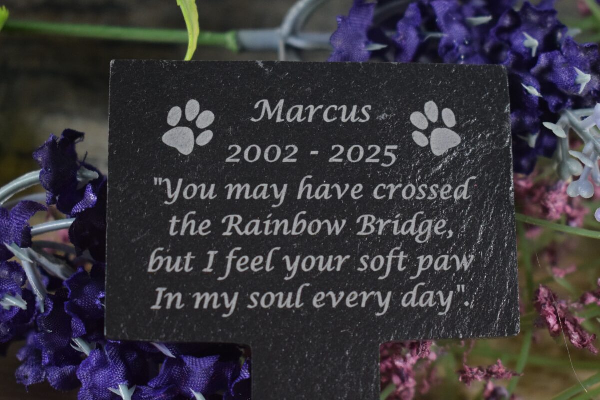 A close-up photograph of a black slate T-shaped pet memorial stake resting on a rustic wooden surface. The plaque is engraved with white text and two paw print icons on either side of the name. The engraving reads: "Marcus 2002 - 2025. 'You may have crossed the Rainbow Bridge, but I feel your soft paw In my soul every day'."