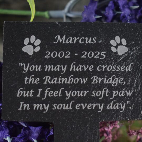 A close-up photograph of a black slate T-shaped pet memorial stake resting on a rustic wooden surface. The plaque is engraved with white text and two paw print icons on either side of the name. The engraving reads: "Marcus 2002 - 2025. 'You may have crossed the Rainbow Bridge, but I feel your soft paw In my soul every day'."