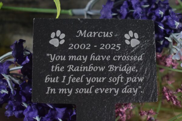 A close-up photograph of a black slate T-shaped pet memorial stake resting on a rustic wooden surface. The plaque is engraved with white text and two paw print icons on either side of the name. The engraving reads: "Marcus 2002 - 2025. 'You may have crossed the Rainbow Bridge, but I feel your soft paw In my soul every day'."