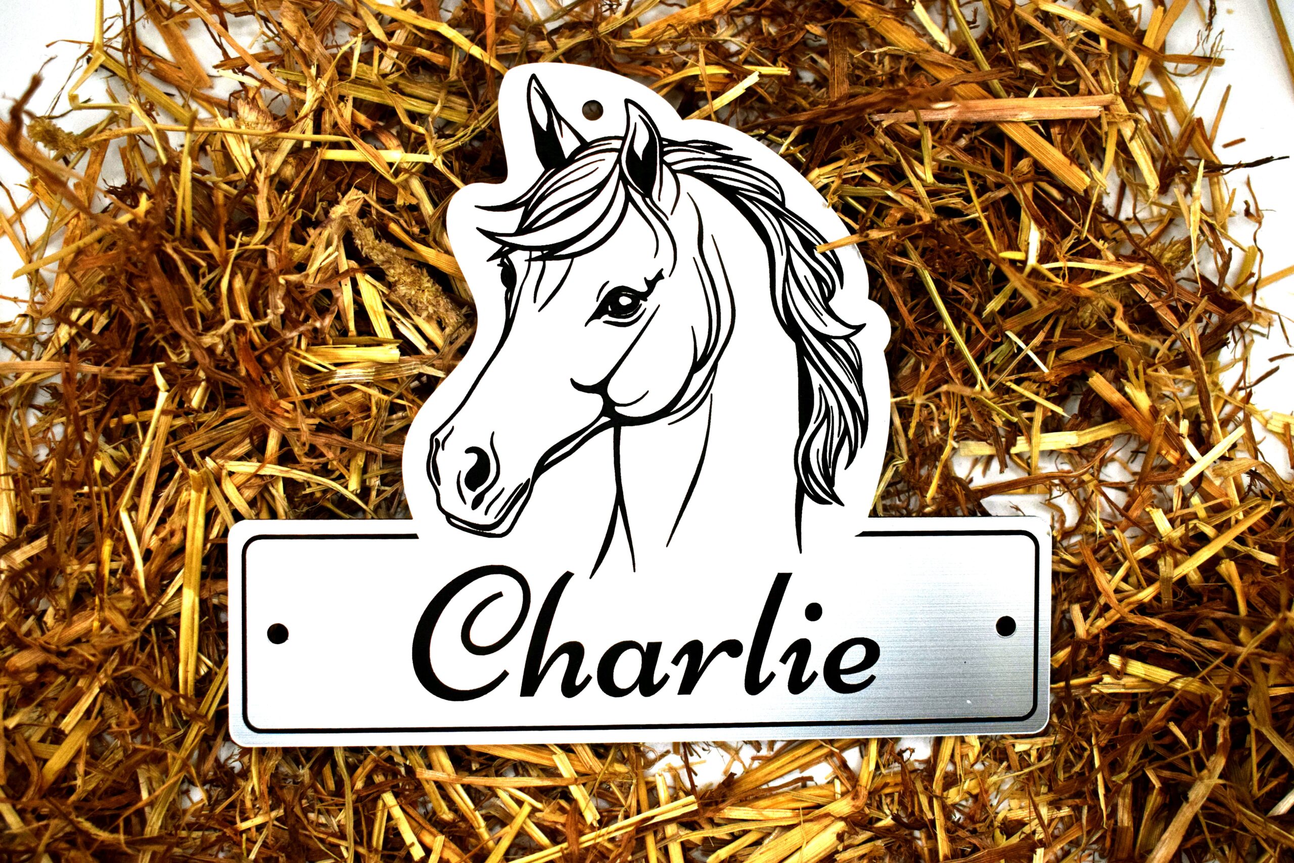 A laser-cut acrylic horse stable name plaque resting on a rustic straw surface. The plaque is shaped with a custom contoured top featuring a black line-art illustration of a horse's head with a flowing mane. The bottom rectangular section features the personalised name "Charlie" engraved in an elegant black script font, with 3 pre-drilled mounting holes on the top and sides.