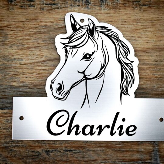A laser-cut acrylic horse stable name plaque resting on a rustic wooden surface. The plaque is shaped with a custom contoured top featuring a black line-art illustration of a horse's head with a flowing mane. The bottom rectangular section features the personalised name "Charlie" engraved in an elegant black script font, with 3 pre-drilled mounting holes on the top and sides.