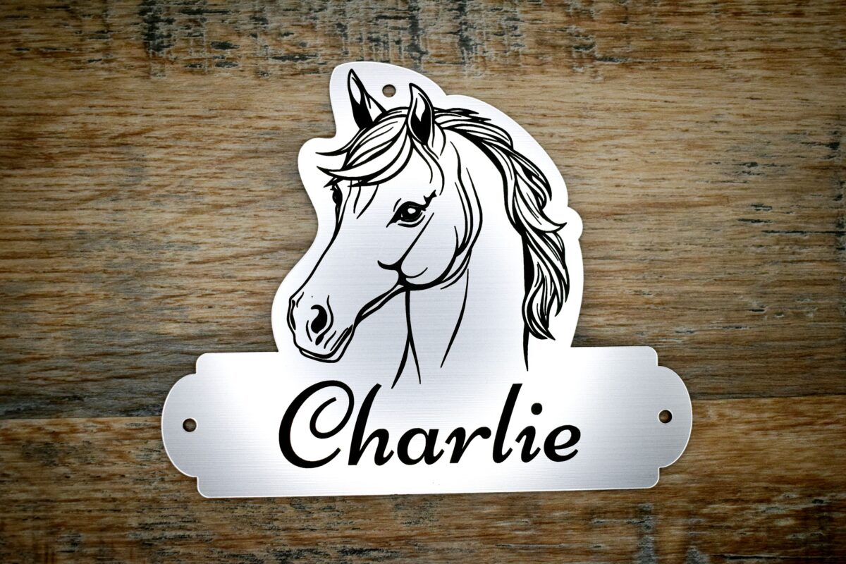 A laser-cut acrylic horse stable name plaque resting on a rustic wooden surface. The plaque is shaped with a custom contoured top featuring a black line-art illustration of a horse's head with a flowing mane. The bottom rectangular section features the personalised name "Charlie" engraved in an elegant black script font, with 3 pre-drilled mounting holes on the top and sides.