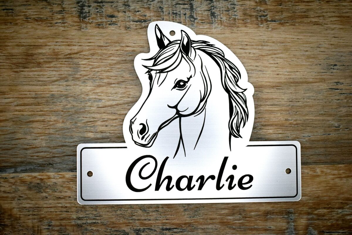 A laser-cut acrylic horse stable name plaque resting on a rustic wooden surface. The plaque is shaped with a custom contoured top featuring a black line-art illustration of a horse's head with a flowing mane. The bottom rectangular section features the personalised name "Charlie" engraved in an elegant black script font, with 3 pre-drilled mounting holes on the top and sides.