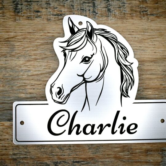 A laser-cut acrylic horse stable name plaque resting on a rustic wooden surface. The plaque is shaped with a custom contoured top featuring a black line-art illustration of a horse's head with a flowing mane. The bottom rectangular section features the personalised name "Charlie" engraved in an elegant black script font, with 3 pre-drilled mounting holes on the top and sides.