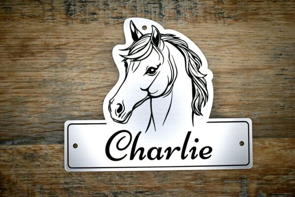 A laser-cut acrylic horse stable name plaque resting on a rustic wooden surface. The plaque is shaped with a custom contoured top featuring a black line-art illustration of a horse's head with a flowing mane. The bottom rectangular section features the personalised name "Charlie" engraved in an elegant black script font, with 3 pre-drilled mounting holes on the top and sides.