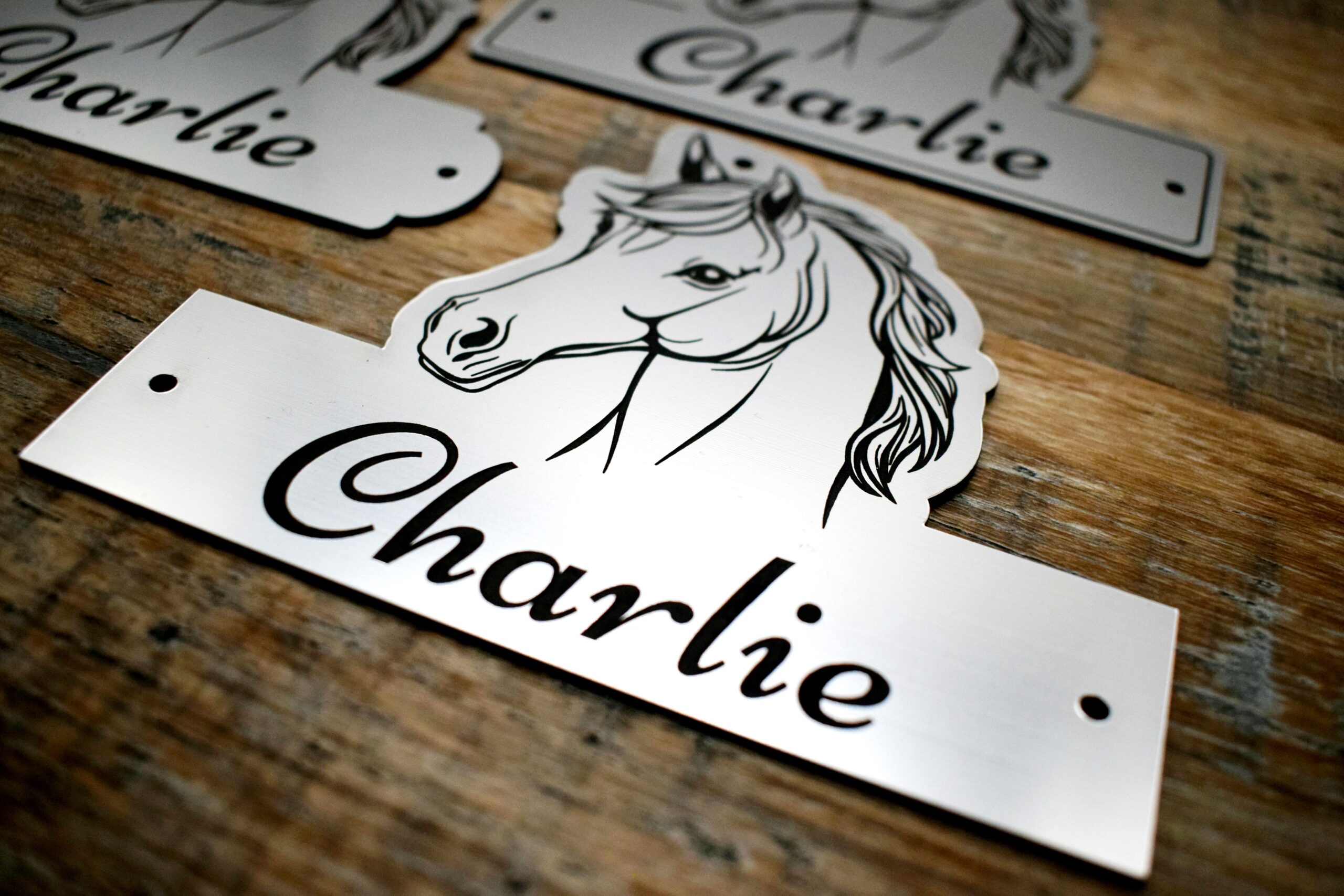 A laser-cut acrylic horse stable name plaque resting on a rustic wooden surface. The plaque is shaped with a custom contoured top featuring a black line-art illustration of a horse's head with a flowing mane. The bottom rectangular section features the personalised name "Charlie" engraved in an elegant black script font, with 3 pre-drilled mounting holes on the top and sides.